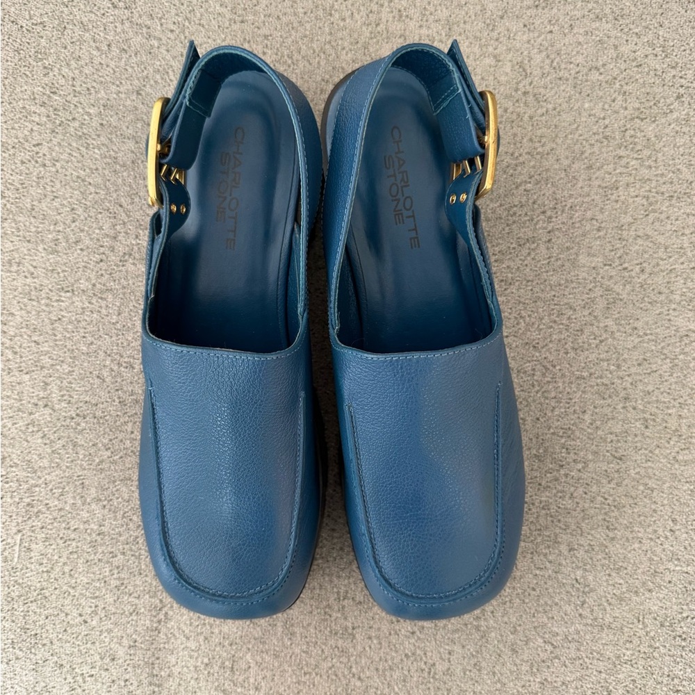 Charlotte Stone - Carlos in Swell - size 9 - Picture 5 of 10